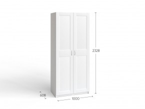 2.06.01.050.4 МАКС шкаф 2 двери 100х61х233 серый RU в Сургуте - surgut.ok-mebel.com | фото 4