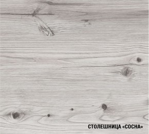 АСАЯ Кухонный гарнитур Экстра 2 (3000 мм) ПМ в Сургуте - surgut.ok-mebel.com | фото 8
