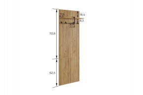 БОДРУМ Прихожая (модульная) дуб крафт золотой в Сургуте - surgut.ok-mebel.com | фото 2