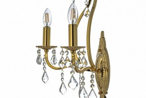 Бра Arti Lampadari Ercolano Ercolano E 2.1.2.602 G в Сургуте - surgut.ok-mebel.com | фото 6
