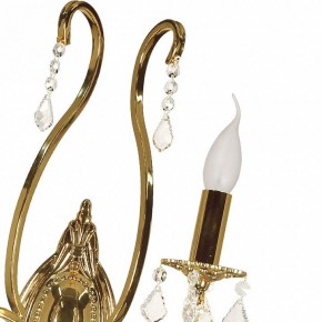 Бра Arti Lampadari Ercolano Ercolano E 2.1.2.602 G в Сургуте - surgut.ok-mebel.com | фото 8
