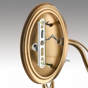 Бра Lumion INCANTO 8033/2W в Сургуте - surgut.ok-mebel.com | фото 8