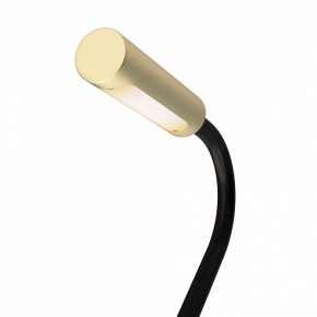 Бра Maytoni Stem C035WL-L3MG3K в Сургуте - surgut.ok-mebel.com | фото 6