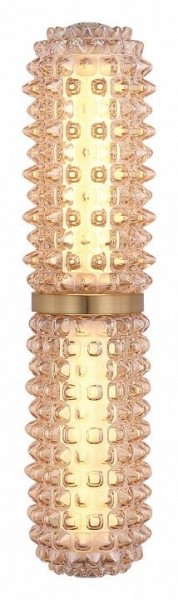 Бра ST-Luce SAGUARO SL6144.301.01 в Сургуте - surgut.ok-mebel.com | фото 3
