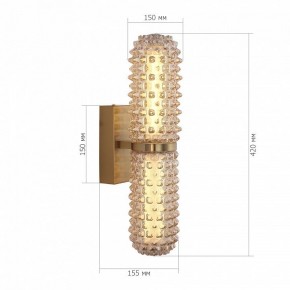 Бра ST-Luce SAGUARO SL6144.301.01 в Сургуте - surgut.ok-mebel.com | фото 5