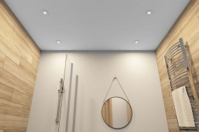 DK2036-WH Встраиваемый светильник влагозащ., IP 44, до 15 Вт, GU10, LED, белый, алюминий в Сургуте - surgut.ok-mebel.com | фото 5