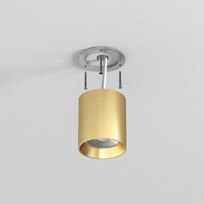 DK2610-SB Накладной светильник SHINE TUBE со светодиодом, D70*H80, IP20, 3000К, 10W, RA?90, сатинированная латунь, алюминий в Сургуте - surgut.ok-mebel.com | фото 3