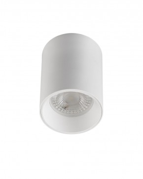 DK3110-WH Светильник накладной IP 20, 10 Вт, GU5.3, LED, белый, пластик в Сургуте - surgut.ok-mebel.com | фото 1