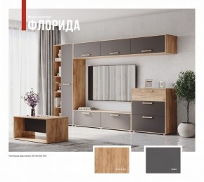 ФЛОРИДА Гостиная (модульная) дуб золотой/графит в Сургуте - surgut.ok-mebel.com | фото