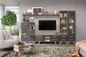 Гостиная Вега Скандинавия (комплект 6) в Сургуте - surgut.ok-mebel.com | фото 2