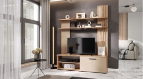КАРОЛИНА Гостиная (дуб вотан/кашемир) в Сургуте - surgut.ok-mebel.com | фото