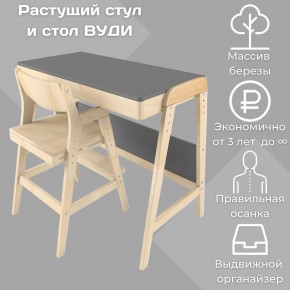 Комплект растущий стол и стул 38 попугаев «Вуди» (Серый, Без покрытия) в Сургуте - surgut.ok-mebel.com | фото