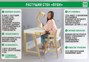 Комплект растущий стол и стул с чехлом 38 попугаев «Вуди» (Серый, Береза, Салют) в Сургуте - surgut.ok-mebel.com | фото
