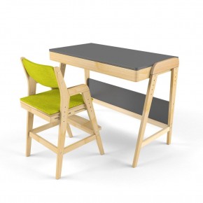 Комплект растущий стол и стул с чехлом 38 попугаев «Вуди» (Серый, Без покрытия, Грин) в Сургуте - surgut.ok-mebel.com | фото