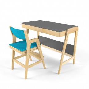 Комплект растущий стол и стул с чехлом 38 попугаев «Вуди» (Серый, Без покрытия, Лазурь) в Сургуте - surgut.ok-mebel.com | фото
