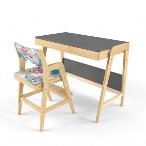 Комплект растущий стол и стул с чехлом 38 попугаев «Вуди» (Серый, Без покрытия, Мечта) в Сургуте - surgut.ok-mebel.com | фото