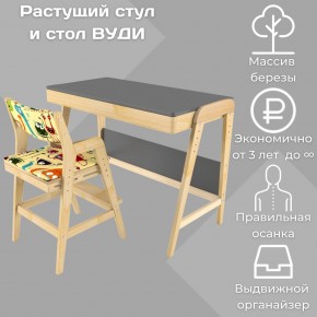 Комплект растущий стол и стул с чехлом 38 попугаев «Вуди» (Серый, Без покрытия, Монстры) в Сургуте - surgut.ok-mebel.com | фото