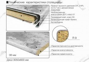 Кухонный фартук со столешницей (А-01) в едином стиле (3050 мм) в Сургуте - surgut.ok-mebel.com | фото 6