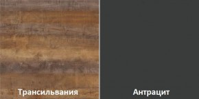Кухонный гарнитур угловой Трансильвания 2400x1600 мм (Стол. 38 мм) в Сургуте - surgut.ok-mebel.com | фото 3