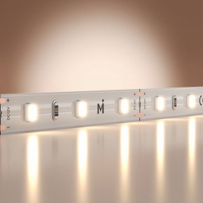 Лента светодиодная Maytoni Base 201163 в Сургуте - surgut.ok-mebel.com | фото 2