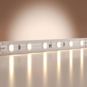 Лента светодиодная Maytoni Base 201166 в Сургуте - surgut.ok-mebel.com | фото
