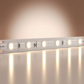 Лента светодиодная Maytoni Base 201178 в Сургуте - surgut.ok-mebel.com | фото