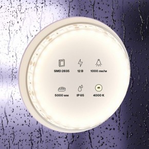 Лента светодиодная Maytoni Led strip 10112 в Сургуте - surgut.ok-mebel.com | фото 2