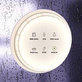 Лента светодиодная Maytoni Led strip 10118 в Сургуте - surgut.ok-mebel.com | фото 2