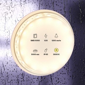 Лента светодиодная Maytoni Led strip 10131 в Сургуте - surgut.ok-mebel.com | фото 2