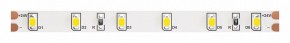 Лента светодиодная Maytoni Led strip 10140 в Сургуте - surgut.ok-mebel.com | фото