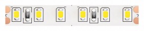 Лента светодиодная Maytoni Led strip 10144 в Сургуте - surgut.ok-mebel.com | фото