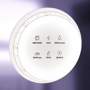 Лента светодиодная Maytoni Led strip 10156 в Сургуте - surgut.ok-mebel.com | фото 2