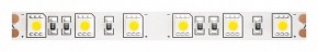 Лента светодиодная Maytoni Led strip 10170 в Сургуте - surgut.ok-mebel.com | фото