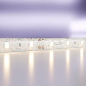 Лента светодиодная Maytoni Led strip 20006 в Сургуте - surgut.ok-mebel.com | фото