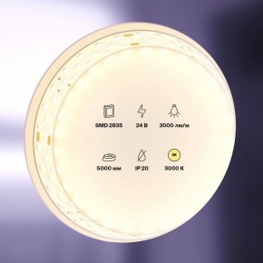 Лента светодиодная Maytoni Led strip 20031 в Сургуте - surgut.ok-mebel.com | фото 2