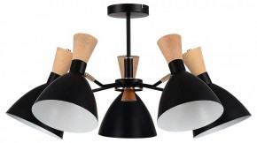 Люстра на штанге EVOLUCE VISTA SLE1256-402-05 в Сургуте - surgut.ok-mebel.com | фото