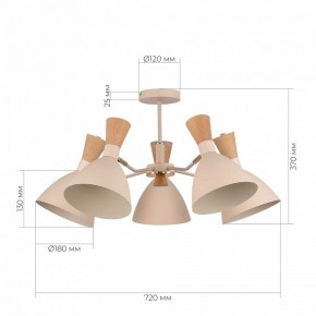 Люстра на штанге EVOLUCE VISTA SLE1256-502-05 в Сургуте - surgut.ok-mebel.com | фото 8