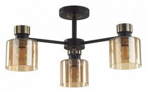 Люстра на штанге Lumion ARLIN 5643/3C в Сургуте - surgut.ok-mebel.com | фото
