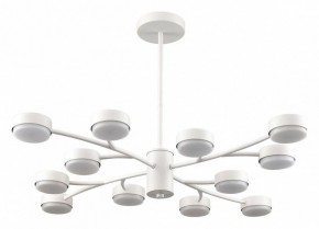 Люстра на штанге Lumion TORINA 8265/12 в Сургуте - surgut.ok-mebel.com | фото
