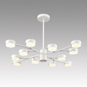 Люстра на штанге Lumion TORINA 8265/12 в Сургуте - surgut.ok-mebel.com | фото 3