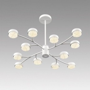 Люстра на штанге Lumion TORINA 8265/12 в Сургуте - surgut.ok-mebel.com | фото 5