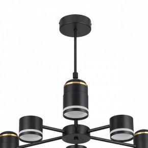 Люстра на штанге Lumion Virsava 8234/6C в Сургуте - surgut.ok-mebel.com | фото 5