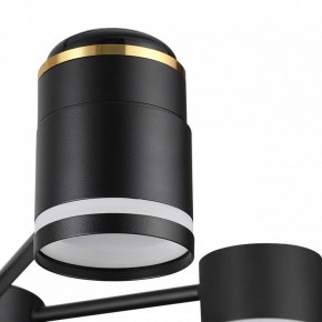Люстра на штанге Lumion Virsava 8234/6C в Сургуте - surgut.ok-mebel.com | фото 8