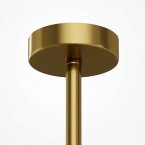 Люстра на штанге Maytoni Museo MOD436PL-07BS в Сургуте - surgut.ok-mebel.com | фото 5