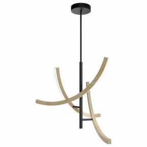Люстра на штанге Maytoni Wabi MOD428PL-L27BK в Сургуте - surgut.ok-mebel.com | фото