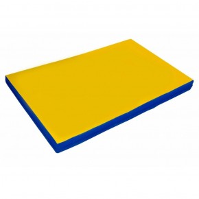 Мат гимнастический 2х1х0,08м цв. синий-желтый в Сургуте - surgut.ok-mebel.com | фото