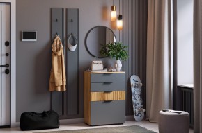 МЕБЕЛЬСОН К21 Прихожая  (графит) в Сургуте - surgut.ok-mebel.com | фото