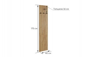 МЕБЕЛЬСОН К6 Прихожая в Сургуте - surgut.ok-mebel.com | фото 6