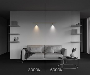 Модульный светильник Maytoni Focus LED C102CL-3W3-6K-BS в Сургуте - surgut.ok-mebel.com | фото 4