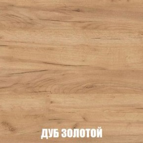 МСП-1 Шкаф 2-х створчатый (Дуб Золотой/Камень темный) в Сургуте - surgut.ok-mebel.com | фото 4